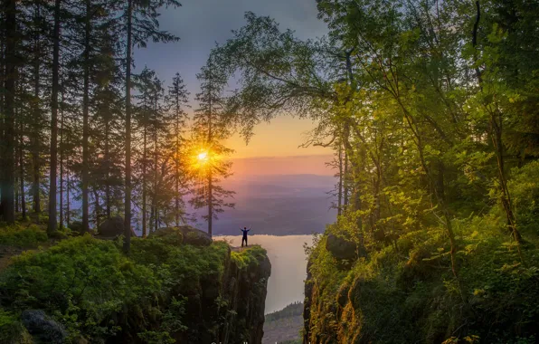 Picture forest, the sun, trees, sunset, mountains, lake, stones, rocks