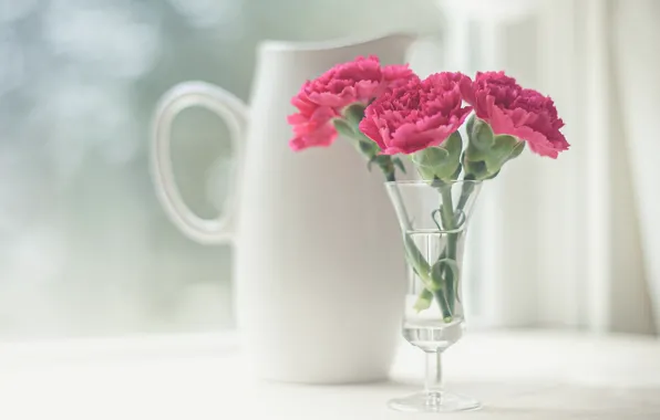 Flowers, pitcher, clove