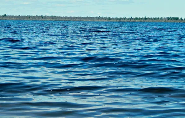 Water, the sun, lake, horizon, blue, June, 2014, Noyabrsk