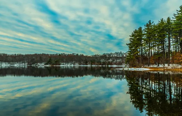 The sky, clouds, snow, trees, lake