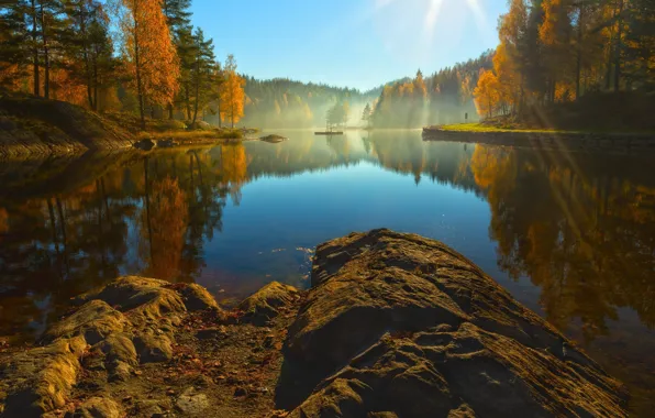 Water, Nature, Reflection, Fog, Trees, Leaves, Stones, Branches