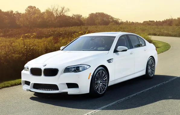 Picture road, white, background, tuning, BMW, BMW, sedan, the bushes