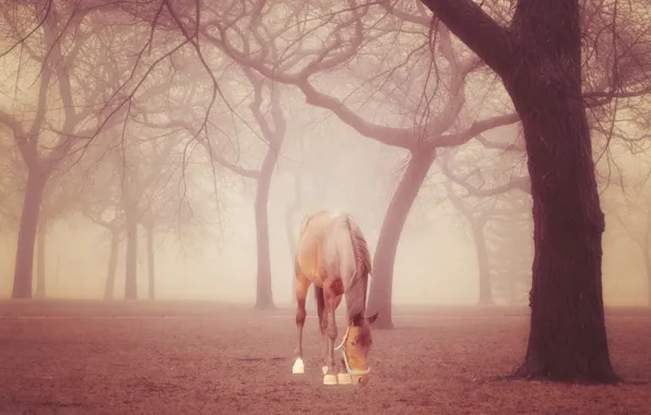 Picture autumn, forest, fog, rendering, horse, horse, art, photoart