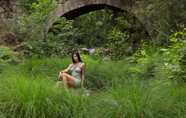 Grass, long hair, hot girl, nature, bridge, rocks, model, stones