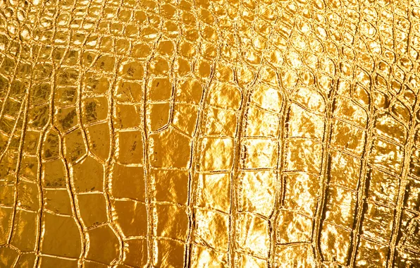 Picture lights, gold, pattern, figure, Shine, texture, leather, texture