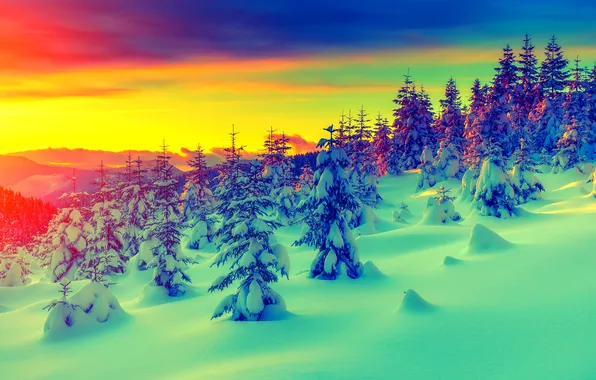Winter, snow, sunset, mountains, dawn, tree, the snow, forest
