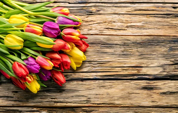 Picture flowers, bouquet, spring, colorful, tulips, fresh, wood, flowers
