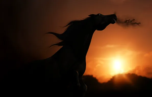 Picture the sky, look, sunset, rendering, horse, shadow