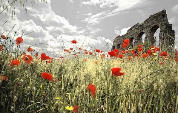 The sky, clouds, flowers, bridge, Maki, treatment, meadow, ruins