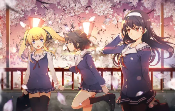Picture the wind, petals, Sakura, flashlight, three, schoolgirl, flowering, friend