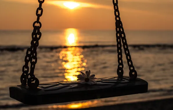 Picture sea, flower, sunset, swing, view, the evening, bokeh