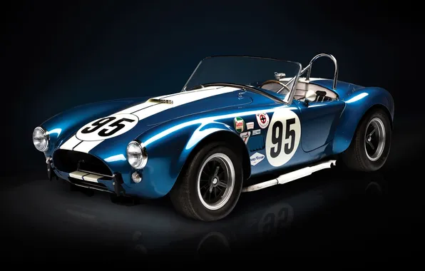 Blue, Roadster, Shelby, Cobra, supercar, twilight, the front, Cobra