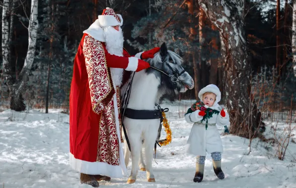 Winter, forest, look, snow, horse, horse, tale, Christmas