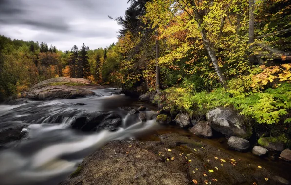 Autumn, nature, river