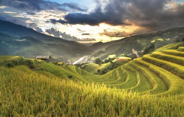 Picture field, clouds, landscape, mountains, nature, village, figure, Vietnam
