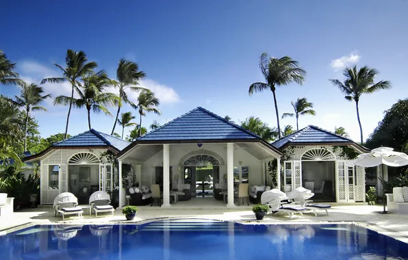 Picture palm trees, Villa, pool, architecture, terrace