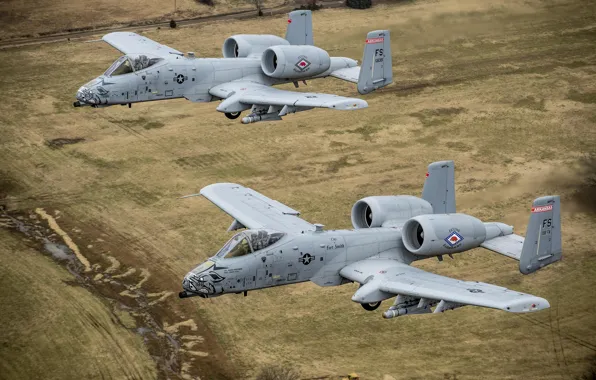 Picture earth, pair, flight, A-10, stormtroopers, Thunderbolt II, The thunderbolt II