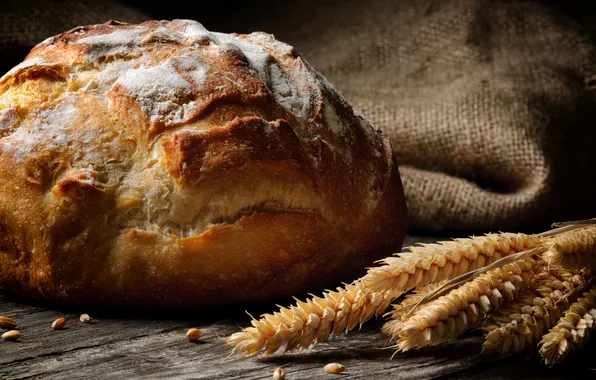 Wheat, white, round, grain, bread, ears