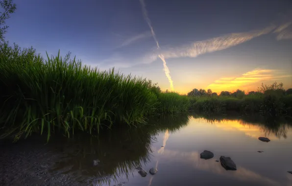Grass, sunset, lake, reflection, swamp