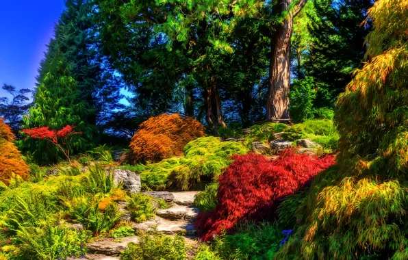 Picture trees, treatment, garden, UK, the bushes, Sizergh Castle Garden