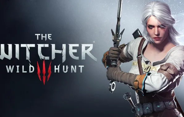 Picture Girl, sword, Sword, The Witcher, CD Projekt RED, The Witcher 3: Wild Hunt, The Witcher …