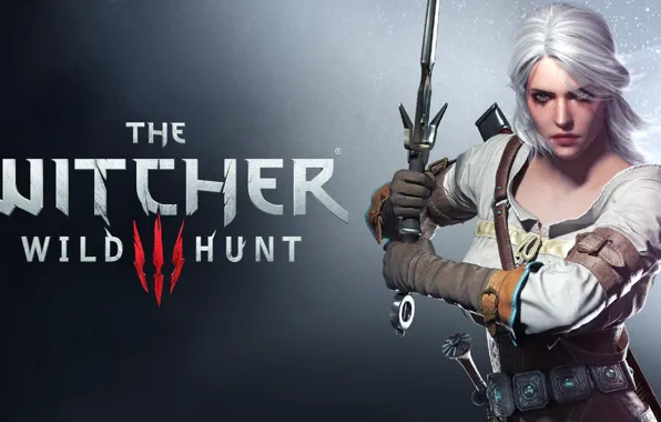 Girl, sword, Sword, The Witcher, CD Projekt RED, The Witcher 3: Wild Hunt, The Witcher …