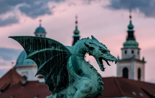 Picture Dragon, Wings, Slovenia, Slovenia, Grin, Ljubljana, Town hall, Ljubljana