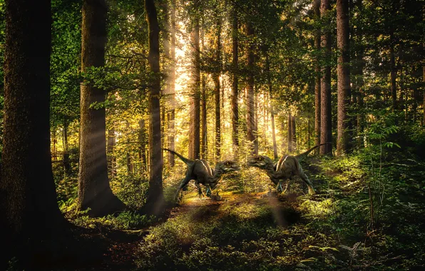 Picture Trees, Forest, Two, Animals, Raptor, Predators, Dinosaurs, Dinosaurs