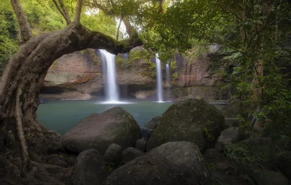 Forest, landscape, river, tree, rocks, waterfall, summer, Thailand