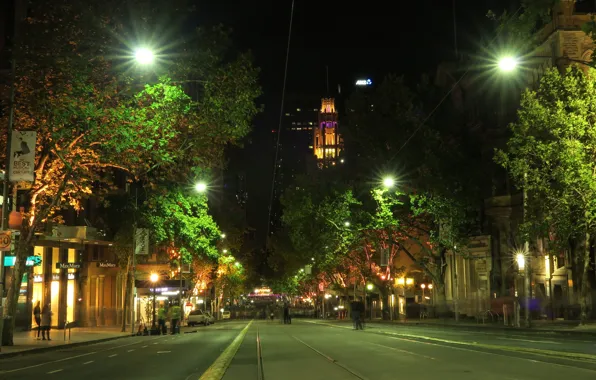 Trees, night, lights, street, home, Australia, Melbourne