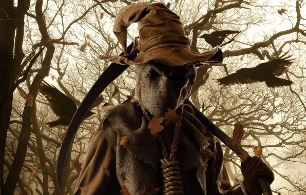 Leaves, hat, braid, bag, rooks, noose