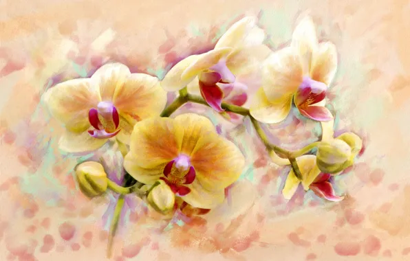 Picture flower, art, form, orchids, flower, orchid, flower, beauty.