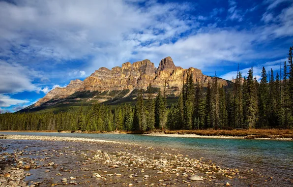 Forest, the sky, trees, mountains, river, Canada, Albert, Castle Mountain