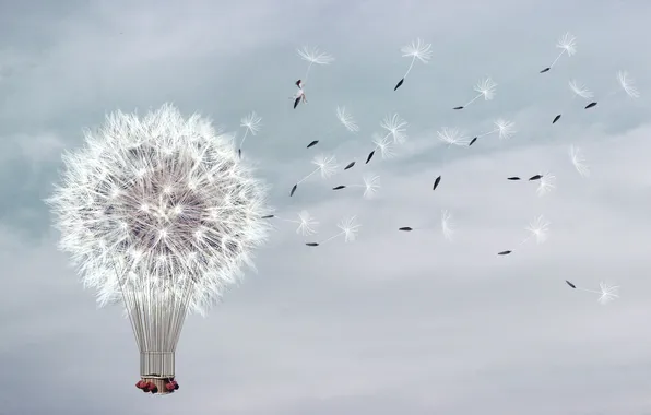 Girl, background, dandelion