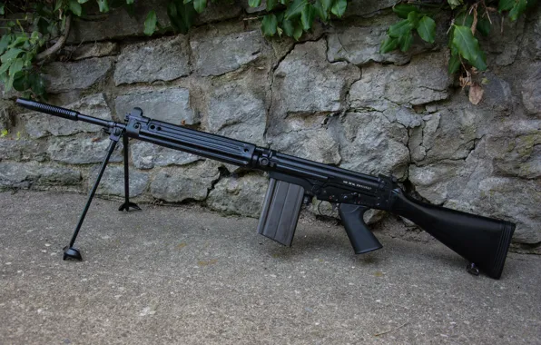 Wall, rifle, automatic, FN FAL, (STG58)