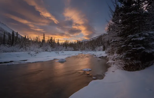 Winter, forest, the sky, snow, river, Canada, Canada, Yukon