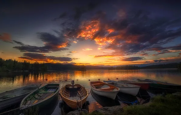 Picture forest, the sky, trees, sunset, river, shore, boat, the evening