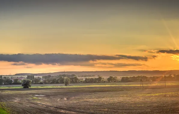 Picture road, field, the sky, sunset, nature, Nature, road, sky