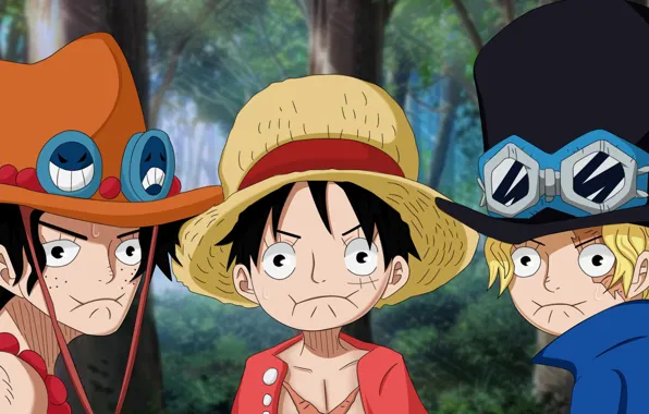 Game, One Piece, anime, asian, manga, japanese, oriental, asiatic