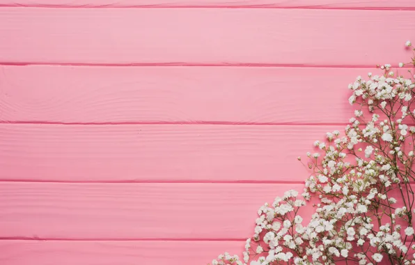 Picture flowers, background, tree, pink, texture, pink, flowers, background