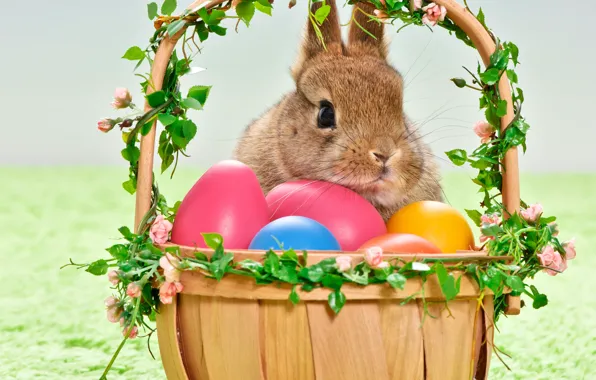 Holiday, basket, eggs, rabbit, Easter