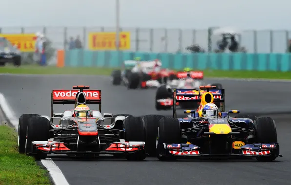 McLaren, Formula 1, Red Bull, Vettel, Champion, Hamilton