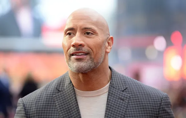 Look, pose, actor, wrestler, Dwayne Johnson, Dwayne Johnson
