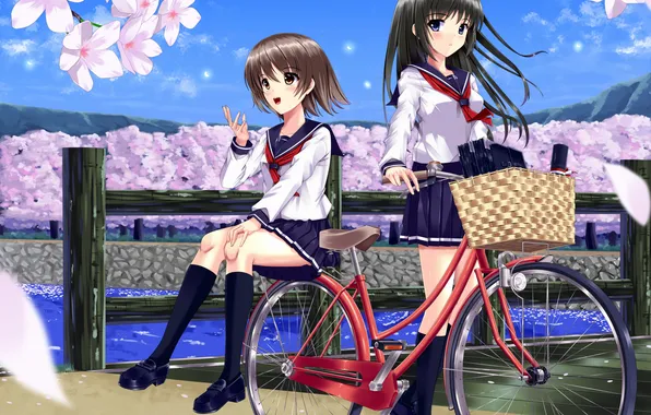 Picture the sky, clouds, flowers, bike, river, girls, anime, petals