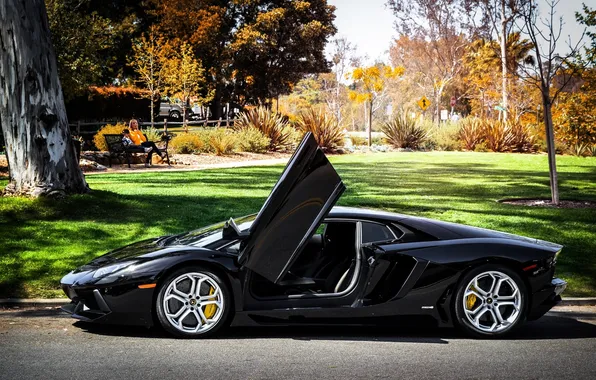 Trees, Park, lawn, black, Lamborghini, profile, black, LP700-4