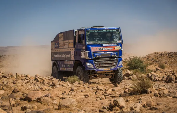 Sand, the sky, stones, desert, track, plants, dust, rally