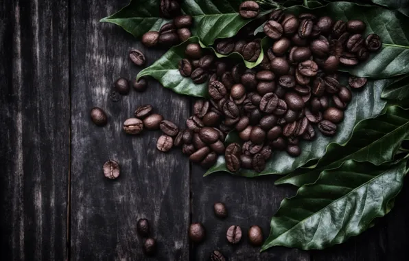 Leaves, the dark background, Board, coffee, placer, coffee beans
