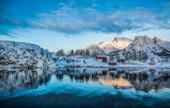 Winter, sea, snow, landscape, mountains, nature, home, village