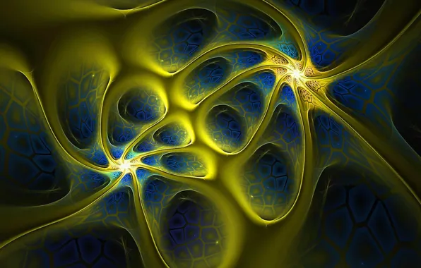 Picture light, line, pattern, color, petals