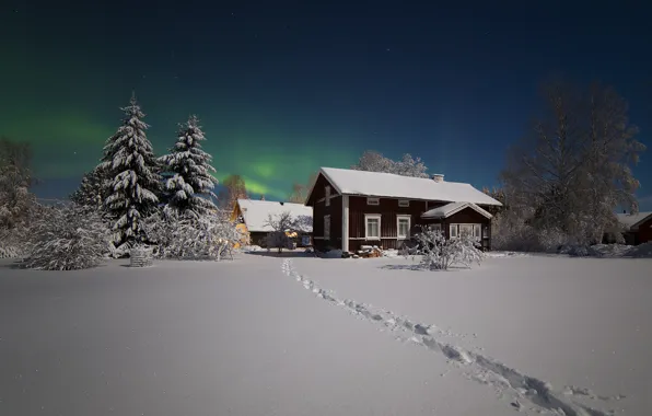 Winter, stars, snow, night, home, Northern lights, the village